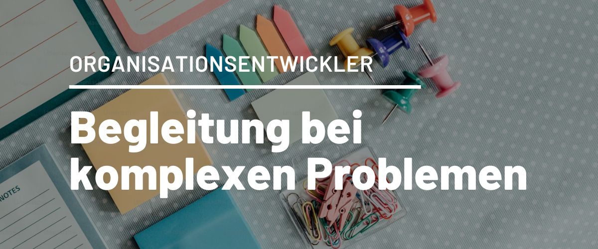Oganisationsentwickler als Begleiter